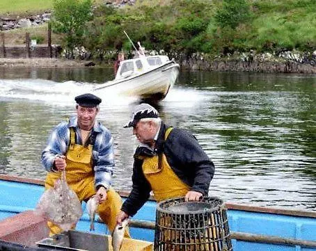 Apartman Golden's Cove At Sneem